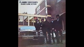 The Flamin Groovies  Shake Some Action 1976 Full Album Vinyl [upl. by Mair]