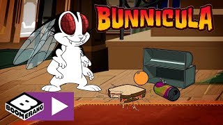 Bunnicula  The Fly Boys  Boomerang UK 🇬🇧 [upl. by Siulesoj371]