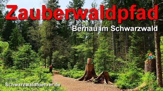 Zauberwaldpfad in Bernau im Schwarzwald [upl. by Ladnar542]