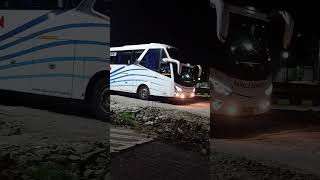 Bus Pahala Kencana shortsfeed aziznasa pahalakencana shortsyoutube trendingshorts [upl. by Bellamy163]