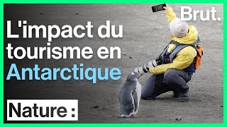 Limpact du tourisme en Antarctique [upl. by Chun]