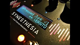 GFI Systems Synesthesia  Pressed Junk amp Vibrato  Demo [upl. by Aili944]