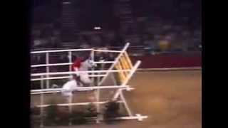 World Record Horse High Jump 2 32 meters [upl. by Frederiksen]