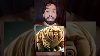 tardigrade about youtubeshorts tardigrades [upl. by Latreese822]