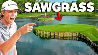 Can Grant Horvat Break 73 at TPC Sawgrass The Players [upl. by Nnahgem200]