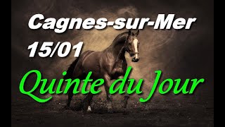 PRONOSTIC PMU QUINTE DU JOUR LUNDI 15 JANVIER 2024 [upl. by Ahsem]