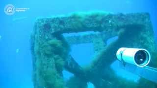 Underwater video of Dunsborough artificial reef [upl. by Sloan]