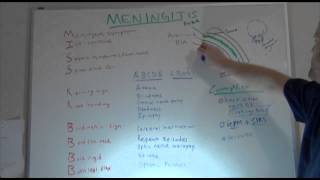 Meningitis Overview NCLEX Neuro Review  NURSINGcom NRSNGcom [upl. by Cl578]