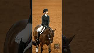 AQHA World Show 2023  AllAround Amateur [upl. by Esya]