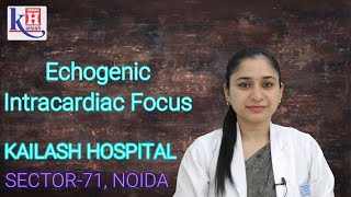 Awareness about Echogenic Intracardiac Focus by Dr Shruti Jain  Kailash Hospital Sector 71 Noida [upl. by Ecargyram]