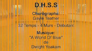 DHSS  Line Dance [upl. by Tawsha]