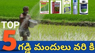 Top 5 herbicides for paddy  వరి కి గడ్డి మందులు  rifit plus eros preet herbicides  agri mentor [upl. by Billi202]