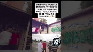 chicanofoos chicano sureno norteno hoodvlogs [upl. by Gamages]