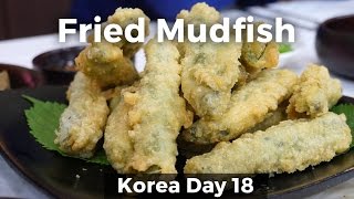 Eating Crispy Mudfish in Namwon South Korea Day 18 [upl. by Bab]