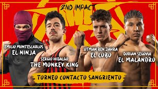 CONTACTO SANGRIENTO  Previa Dogfight Wild Tournament 2nd Impact [upl. by Childers166]