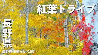 【長野移住】紅葉ドライブの先には日本一美味しいお米があった｜秋山郷｜南魚沼｜奥只見｜ドライブ｜田舎暮らし｜長野県｜4K [upl. by Nolad]