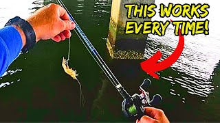 The EASIEST Way to Catch Sheepshead Catch Clean Cook Ultimate Smoked Sheepshead Dip [upl. by Mortimer]