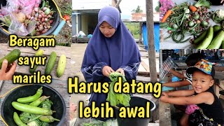 LEBIH ENAK HIJAU⁉️ DARI UNGU MARILES MARI MELELES [upl. by Tegdirb]