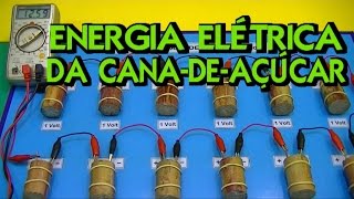 EXCELENTE BATERIA ELÉTRICA DE CANADEAÇÚCAR  12 Volts [upl. by Ahsiekat]