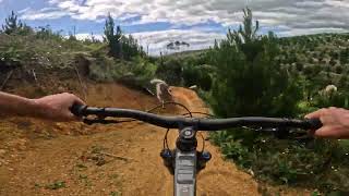 Footrot Flats  Fourforty MTB Park [upl. by Asik202]