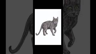 Feline Familiars 1315 Inktober BlackCat Cats CatsOnYouTube CatsOnArt Art Drawing HigginsInk [upl. by Anabel922]