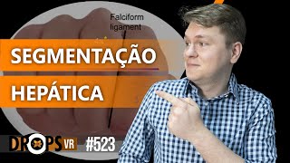 ENTENDENDO A SEGMENTAÇÃO HEPÁTICA NO ULTRASSOM  VOCÊ RADIOLOGISTA [upl. by Lukash]