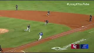 Gigantes del Cibao Vs Tigres del Licey  RESUMEN [upl. by Aara31]