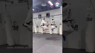 Sam il Tul performed by Sabum Sergios amp Sabum Aaron students of Dubai TaekwonDo Academy [upl. by Him]