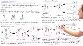 Aneuploidy and Nondisjunction Part II [upl. by Lrae]