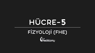 Hücre  5  2020 [upl. by Boffa]