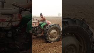 Pharming karte hue tractor 135 punjabi [upl. by Alick]