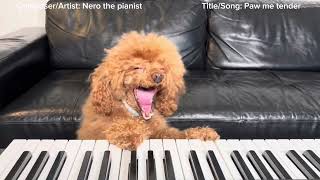 Nero piano  song «Paw me tender» full version [upl. by Lugo936]