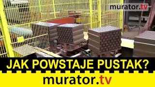 Jak powstaje pustak poryzowany Wizyta w zakładzie produkcji ceramiki [upl. by Stanwin]