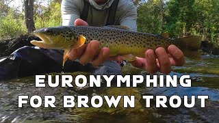 Euro nymphing for Brown Trout [upl. by Anaerda]