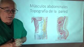 Músculos del abdomen Prensa abdominal maniobra de Valsalva [upl. by Wey180]