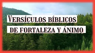 versículos bíblicos de fortaleza y ánimo para reflexionar 📖 [upl. by Nylorak]