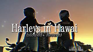 Harleys in Hawai 🌷⚡ SlowedReverb song slowedandreverb fyp trending longvideo i [upl. by Finlay761]