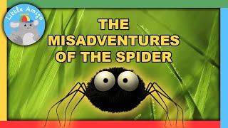 Minuscule  Best of the Spider 🕷️  Compilation  Little Amigo [upl. by Aniad]