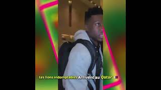 Les lions indomptables Arrivent au Qatar ft Choupo moting zambo Le chat… [upl. by Doy53]