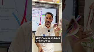 Anatomy In 20 Days Crash Course With 3D Model and Notes shorts mbbs [upl. by Yonita600]