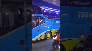 BUS BASURI TOGA TRANS DAUN KELOR teloletbasuri busmania bisbasuri [upl. by Starobin]