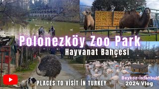 Polonezköy Zoo Park Polonezköy Hayvanat Bahçesi Beykoz İstanbul Gezilecek Yerler 2024 istanbul [upl. by Elia]