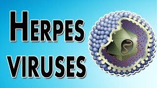 Herpes Symptoms Treatment and Causes [upl. by Morgun229]