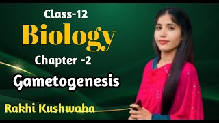 Gametogenesis  Unit Reproduction Ch 2  Part3  by Rakhi Kushwaha [upl. by Sirehc238]