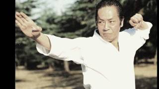 Andre Bertel Christchurch Shotokan Karate Club International Instructor [upl. by Vierno]