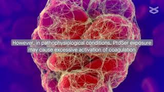 Phosphatidylserine inside out inflammation and coagulation abnormalities in COVID19 [upl. by Nabe]