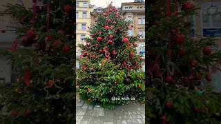 Exploring Konstanz A Scenic Getaway at the GermanSwiss Border 🇩🇪konstanz christmastree [upl. by Alyled]