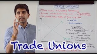 Trade Unions  Labour Market Impact [upl. by Pauiie695]