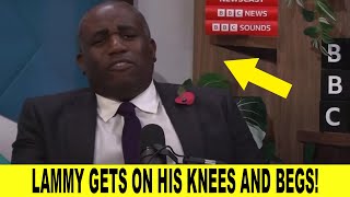 David Lammy Gets On His Knees And Begs [upl. by Elna395]