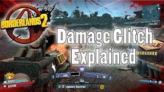 Borderlands 2  Damage Glitch Explained [upl. by Culver]